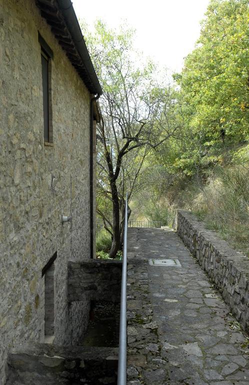 Podere Monte Petreto San Savino  Δωμάτιο φωτογραφία