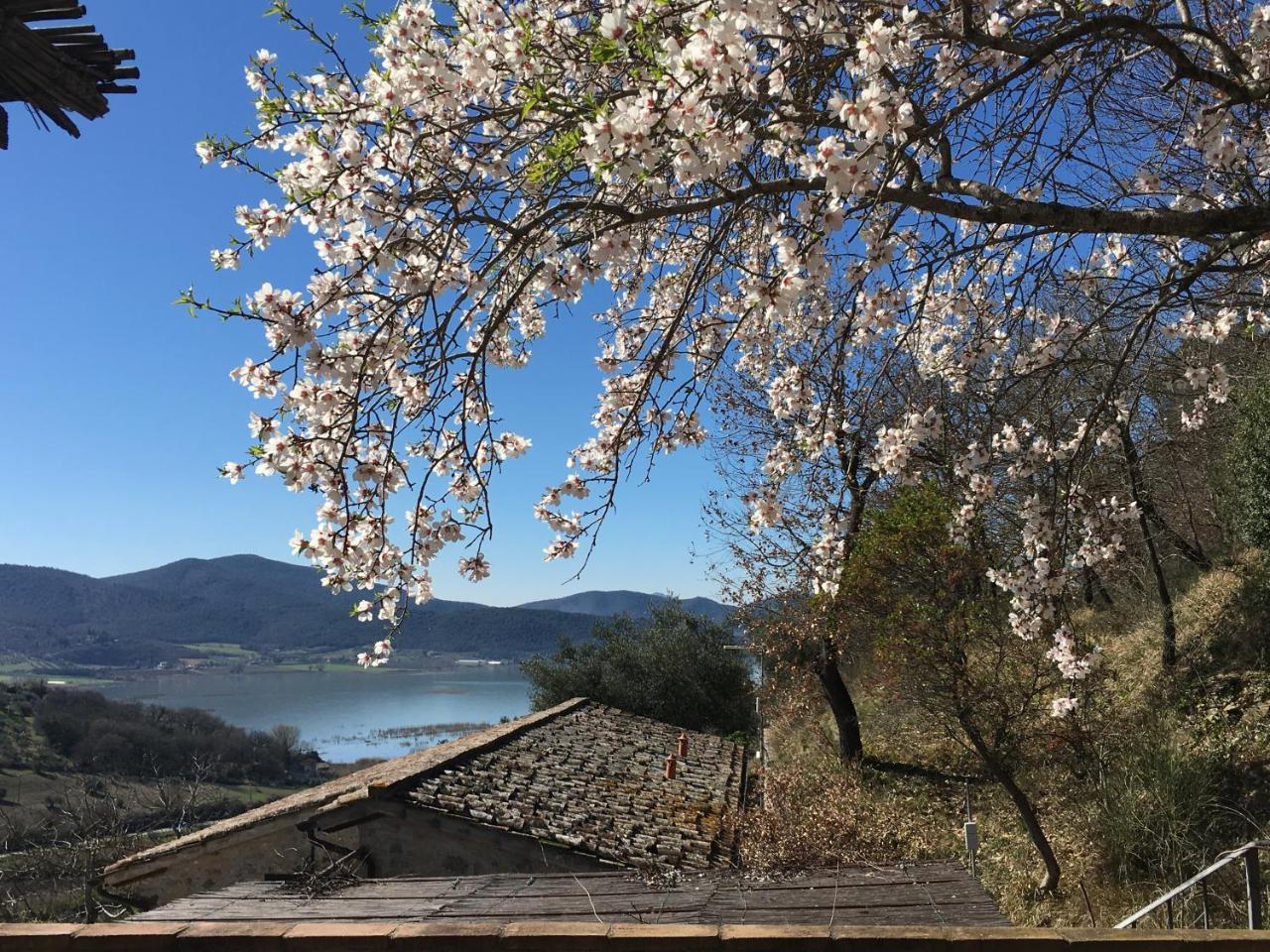 Podere Monte Petreto San Savino  Εξωτερικό φωτογραφία