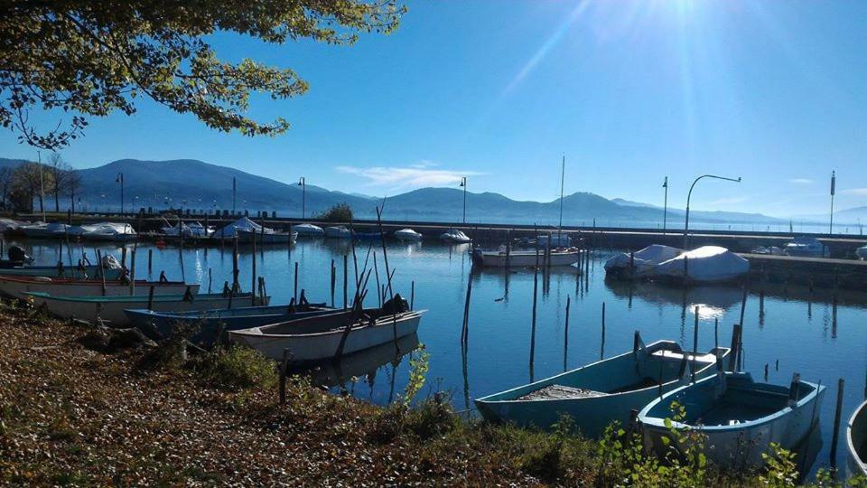 Podere Monte Petreto San Savino  Εξωτερικό φωτογραφία